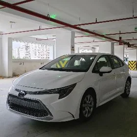 Toyota Corolla 2022