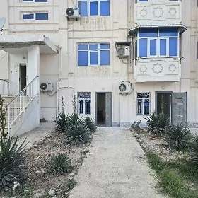 квартира