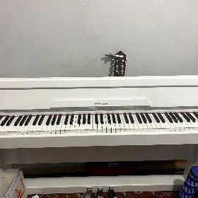 Aston villa