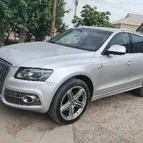 Audi Q5 2010