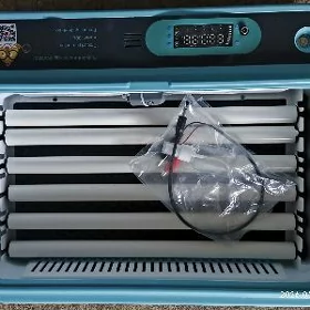 incubator