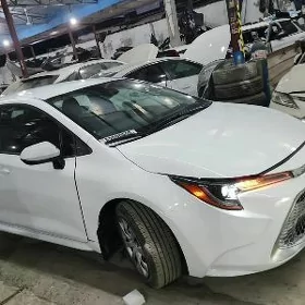 Toyota Corolla 2022