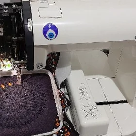 Janome 230e