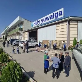 Haly himchiaska
