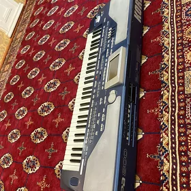 pa 800