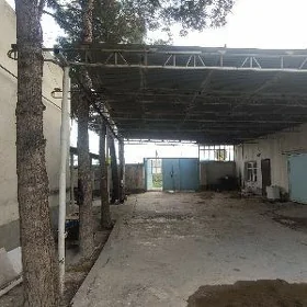 Satlyk Arzuw posyolka 12 sotok