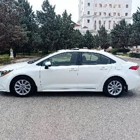 Toyota Corolla 2019