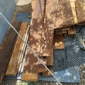 Sauna agaç