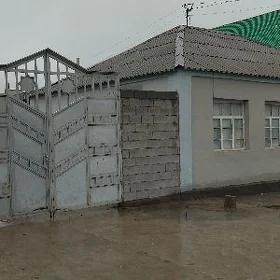 Gämi jaý