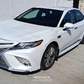 Toyota Camry 2020