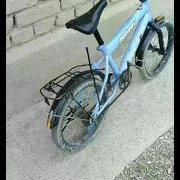 TİGİR