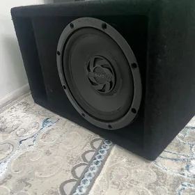 Pioneer bocka