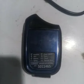 I130 as gok magicar