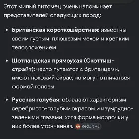 Кот 7 месяцев