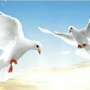 Ak Kepderi