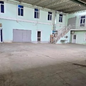 Arenda Bedew sklat palatacylar