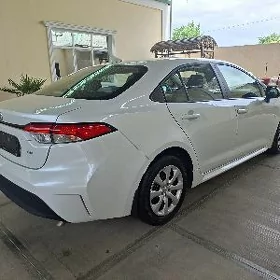 Toyota Corolla 2025
