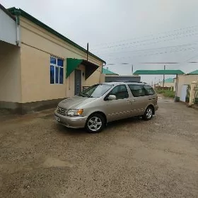 Toyota Sienna 2001