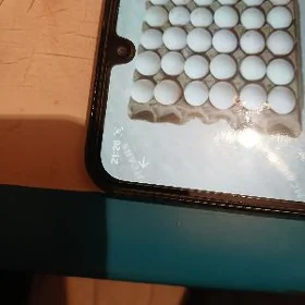 Индюк юмуртга