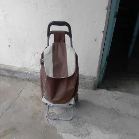 сумка, тилешка