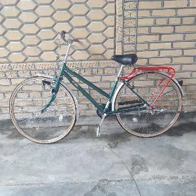 welik 27