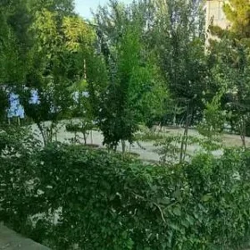 МИР 8 2 КОМНАТЫ 1 ЭТАЖ