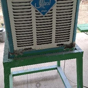 dasary kandiseoner