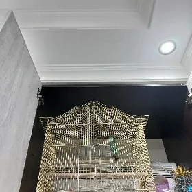 клетка