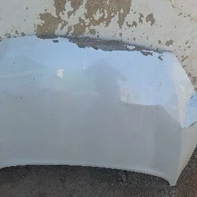 Kia kapot 2019Kia kKia kapot