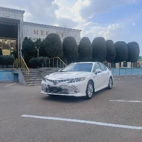 Toyota Camry 2019