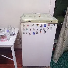 haladelnik kiçi