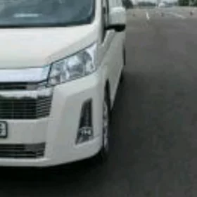 Hais gazel akidip getirer ýali