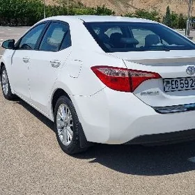 Toyota Corolla 2016