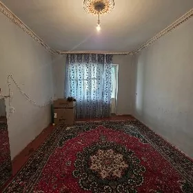 Htrowka depoñ ýany. 3 kom.