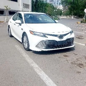Toyota Camry 2020