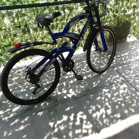tigir 26 lyk