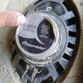 Pioner 1000volt MAX