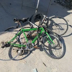 turkmenistan biri yapon welik