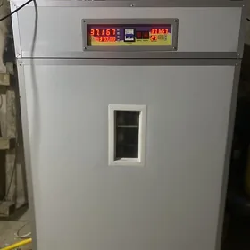 inkubator