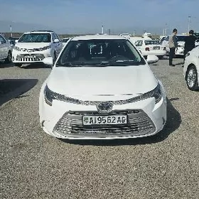 Toyota Corolla 2024