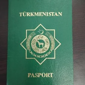 Pasport tapyldy