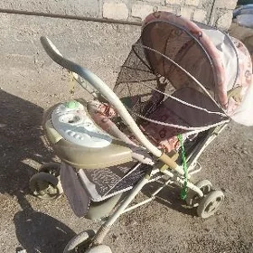 Kalýaska tigir