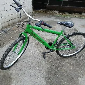 TURKMENISTAN tigir