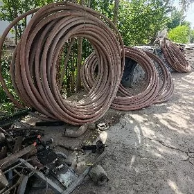plasmas turba