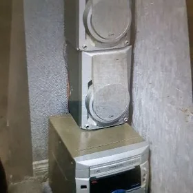 muzikalni sentir