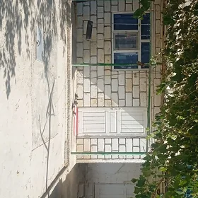 Satlyk jay jangada