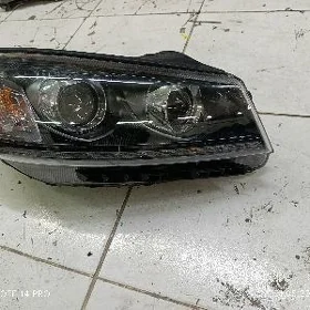 fara sorenta 20 model arginal