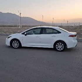 Toyota Corolla 2024