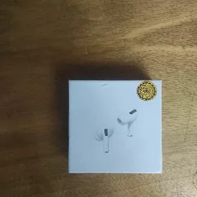 NauşnikEarphone