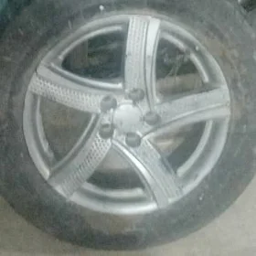 17 bolan  disga